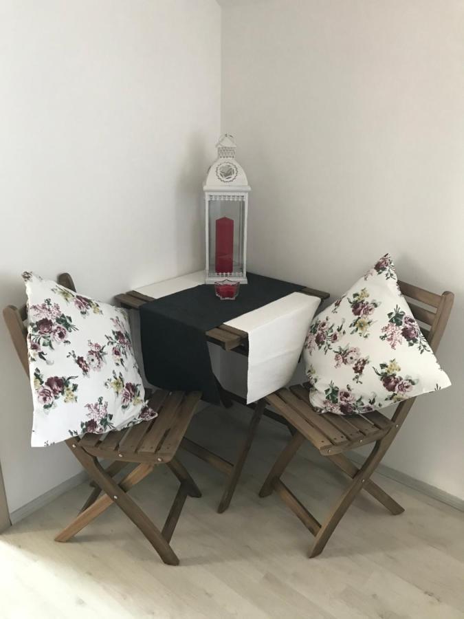 Apartment Harmonia 60m2 Podebrady